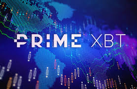 Explore the World of Trading with PrimeXBT Website