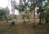 Land for sale in Marawila