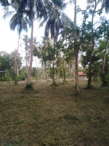 Land for sale in Marawila