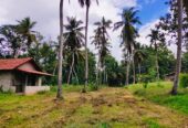 Land for sale in Marawila